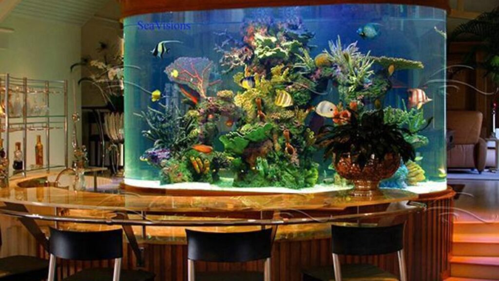 Vastu Tips for Aquariums That Can Change Your Home’s Energy