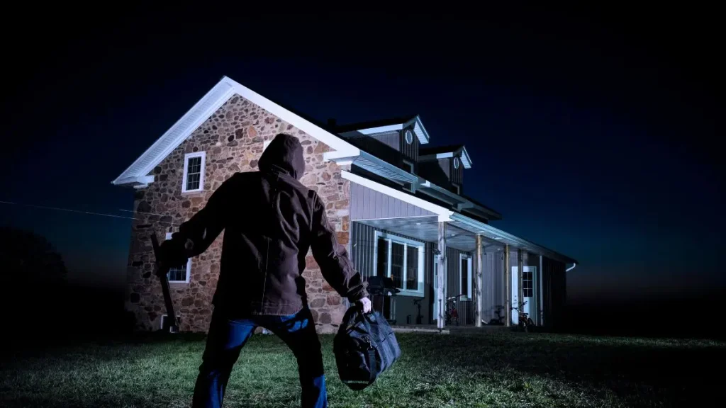 Seattle home burglary
