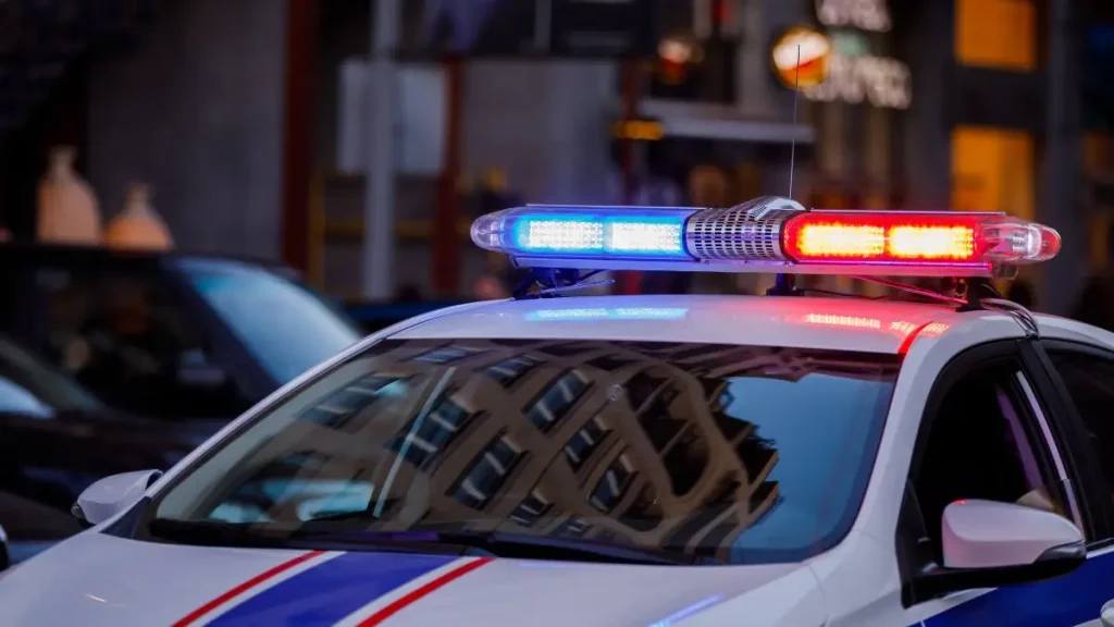 Chicago mother stabbed children at home