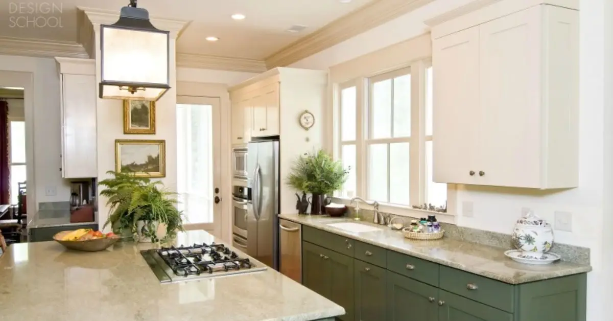 Kitchen Friendly Houseplants
