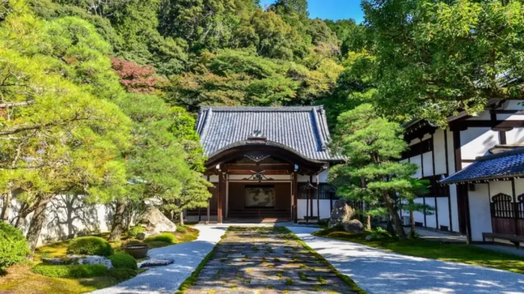 Larry Ellison Property Portfolio