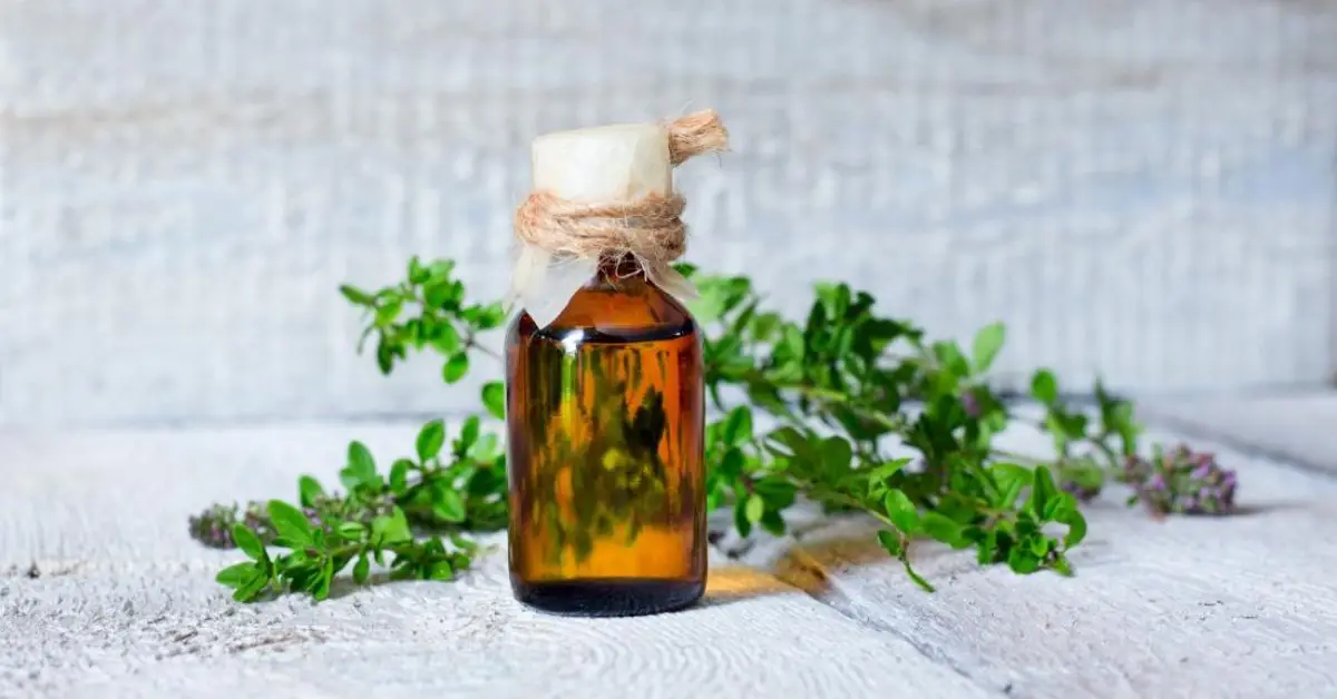 Mosquito-free home tips