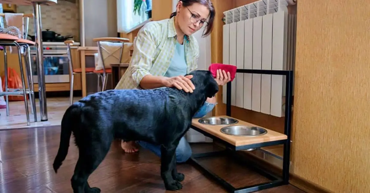 Pet-Proof Your New Home