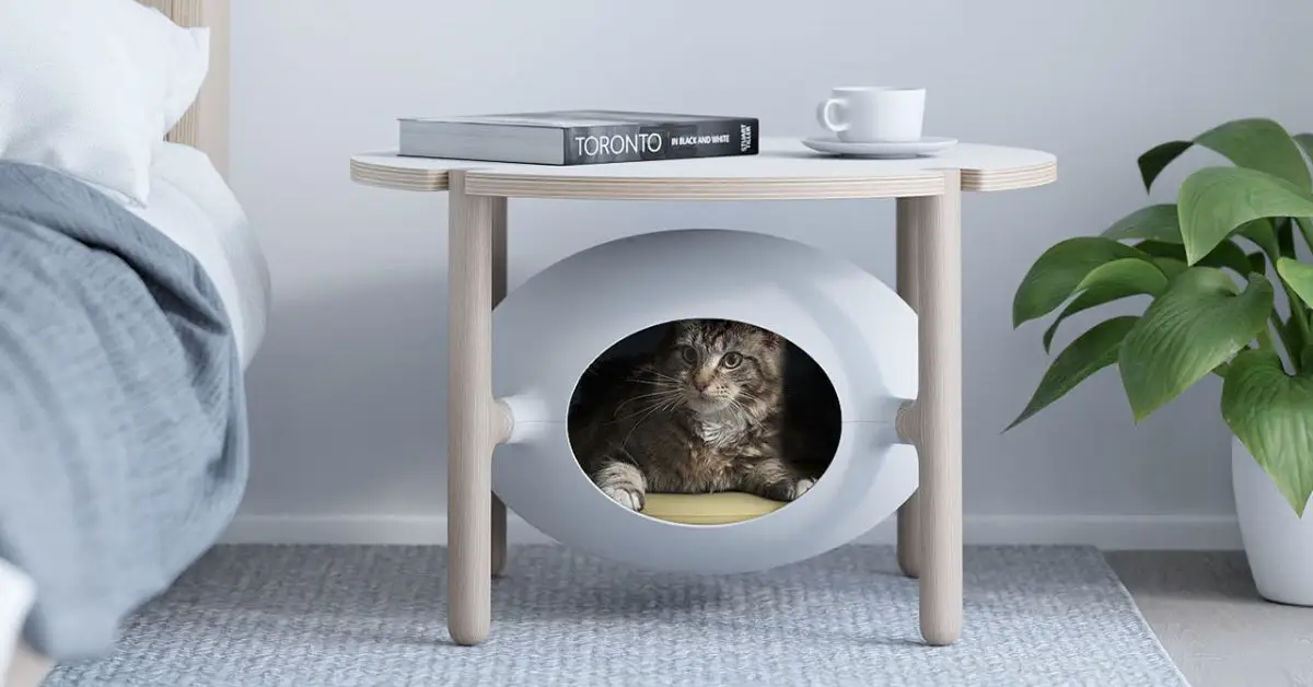 Pet-friendly interior design