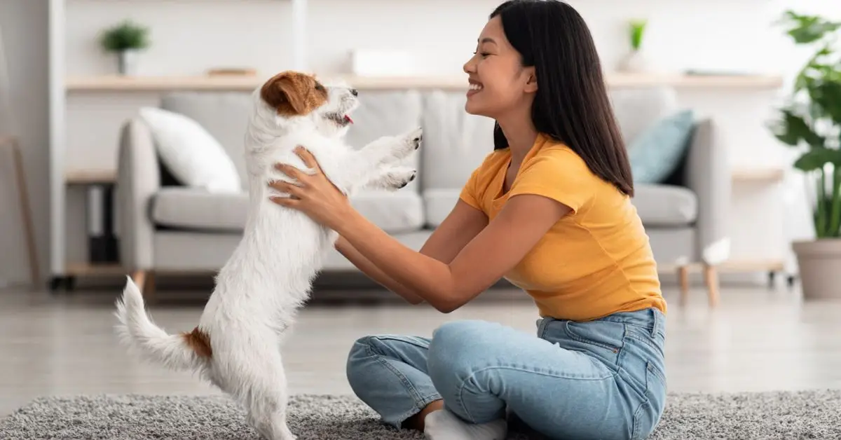 Vastu tips for a happy pet at home