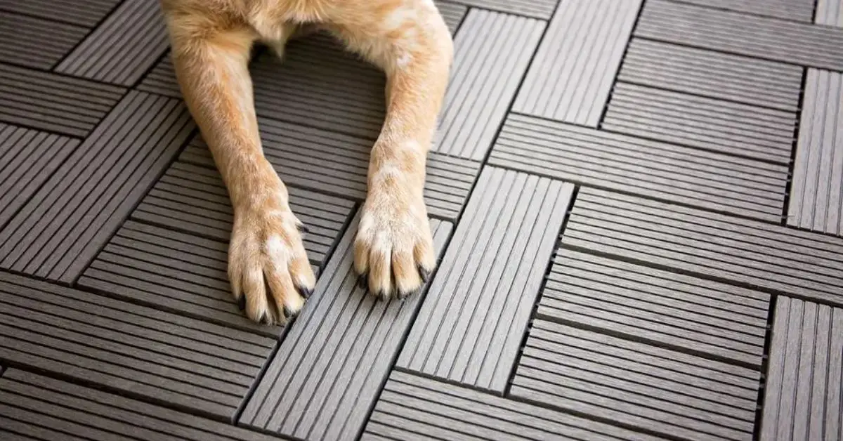 home design mistakes for pets