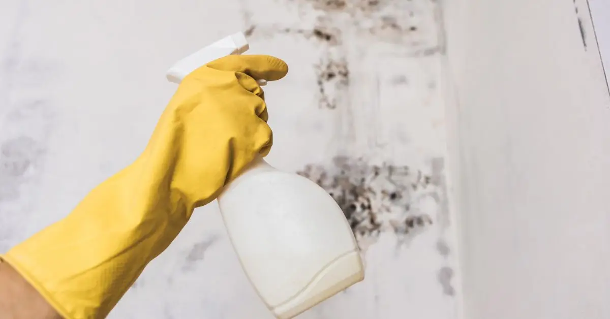 vodka home cleaning tricks