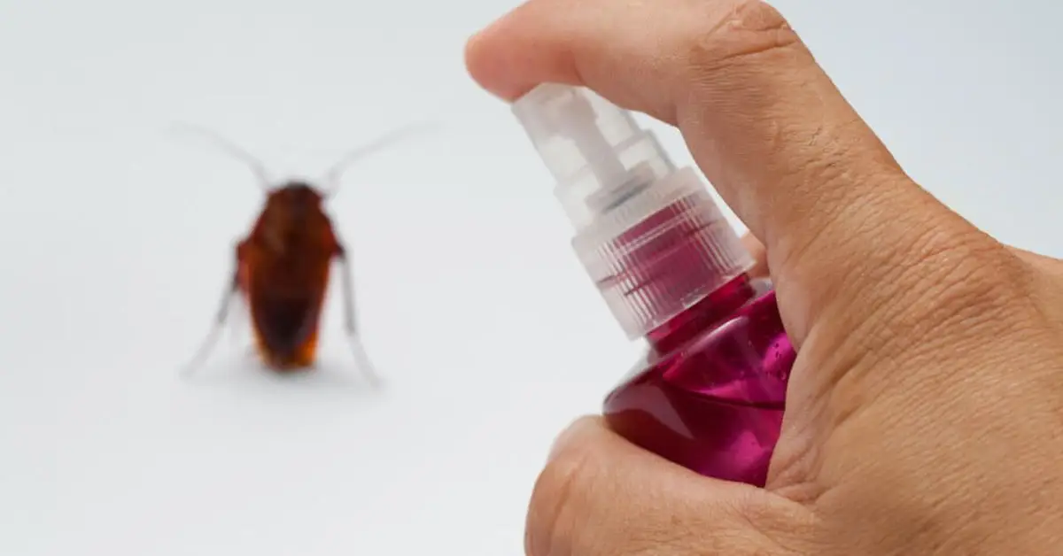 DIY roach control