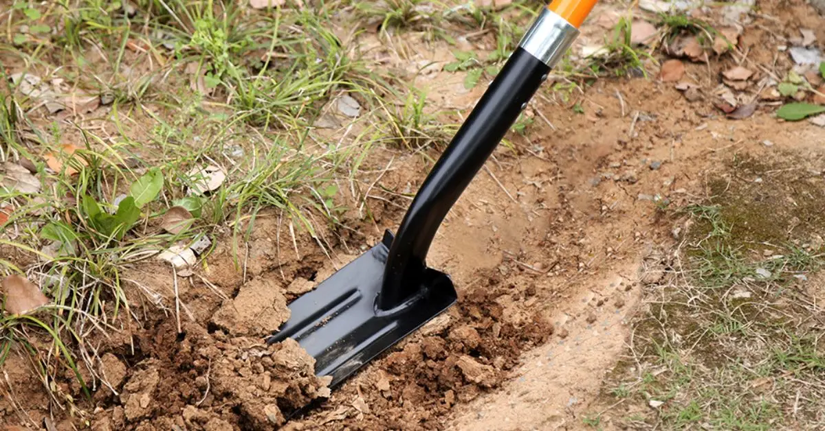 How to Install a French Drain