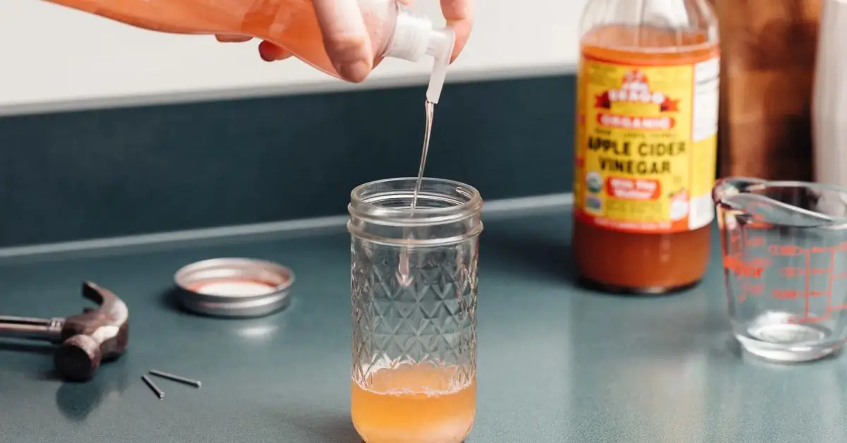 homemade fly trap