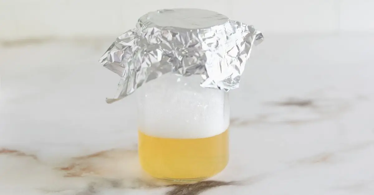 homemade fly trap