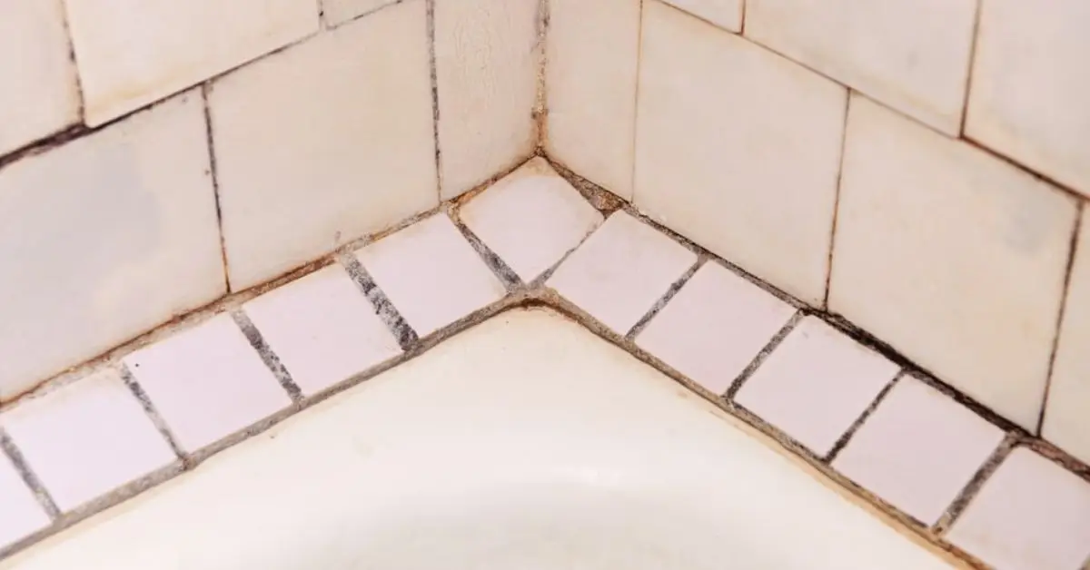 how to stop bathroom mold