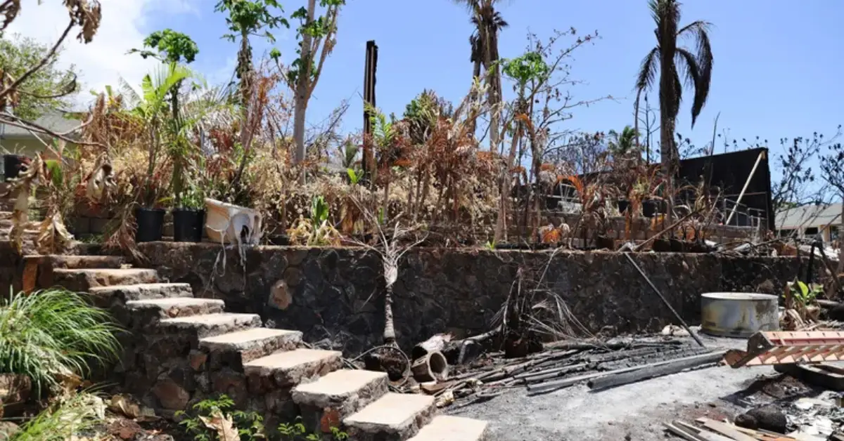 death disclosure law in Hawaii