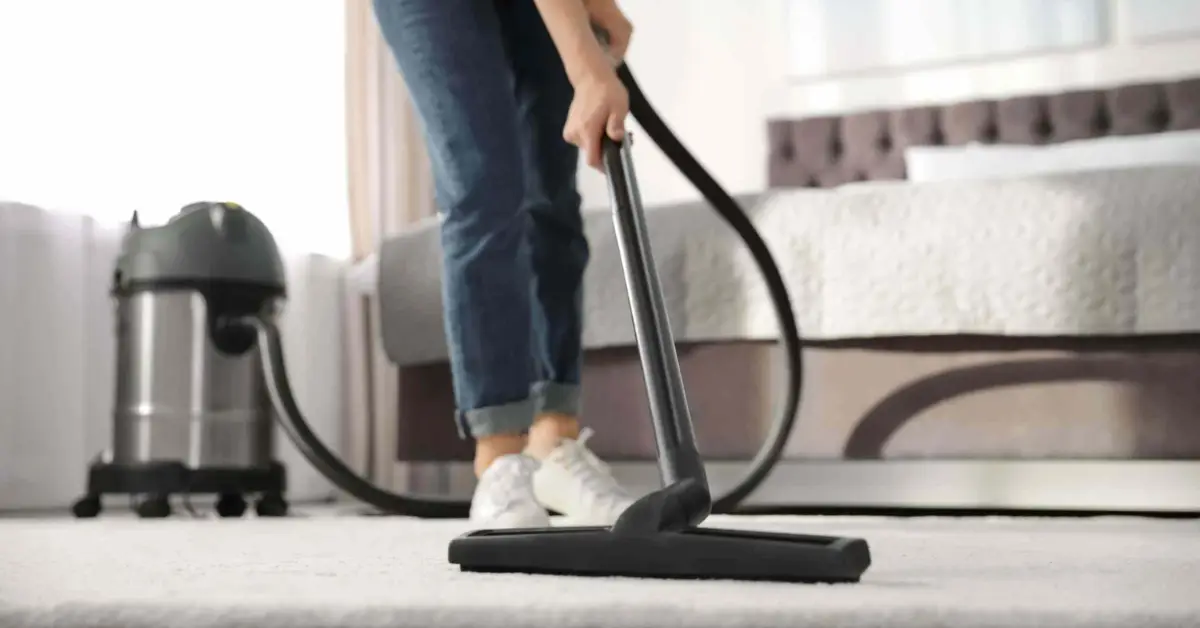 how to get rid of fleas without chemicals
