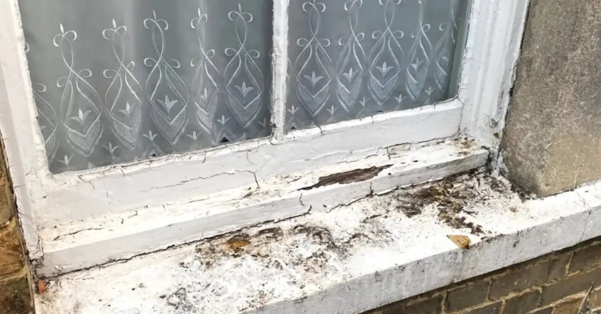 how to unstick painted shut windows