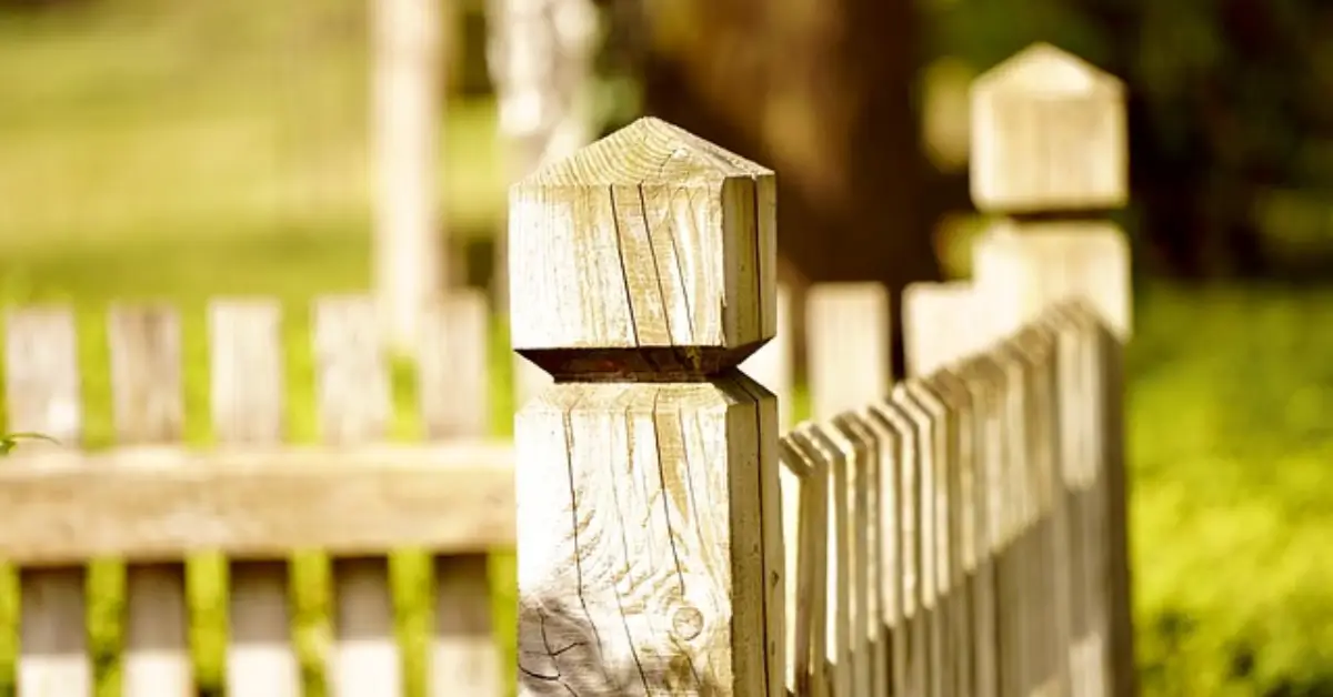 shared fence rules for painting