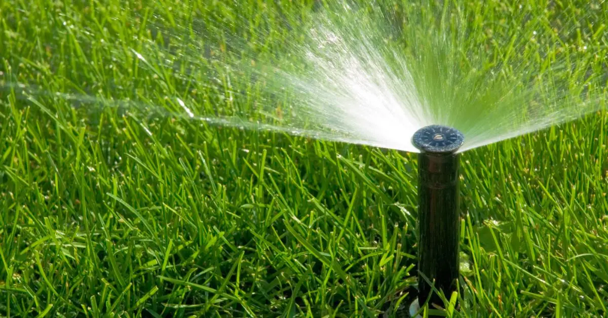 signs your sprinkler system needs repair