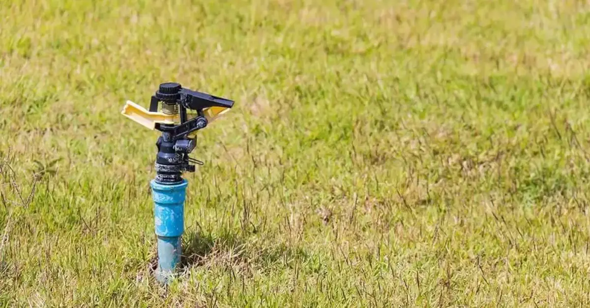 signs your sprinkler system needs repair