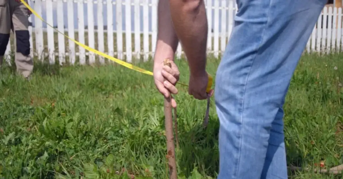 Budget-Friendly Fence Ideas