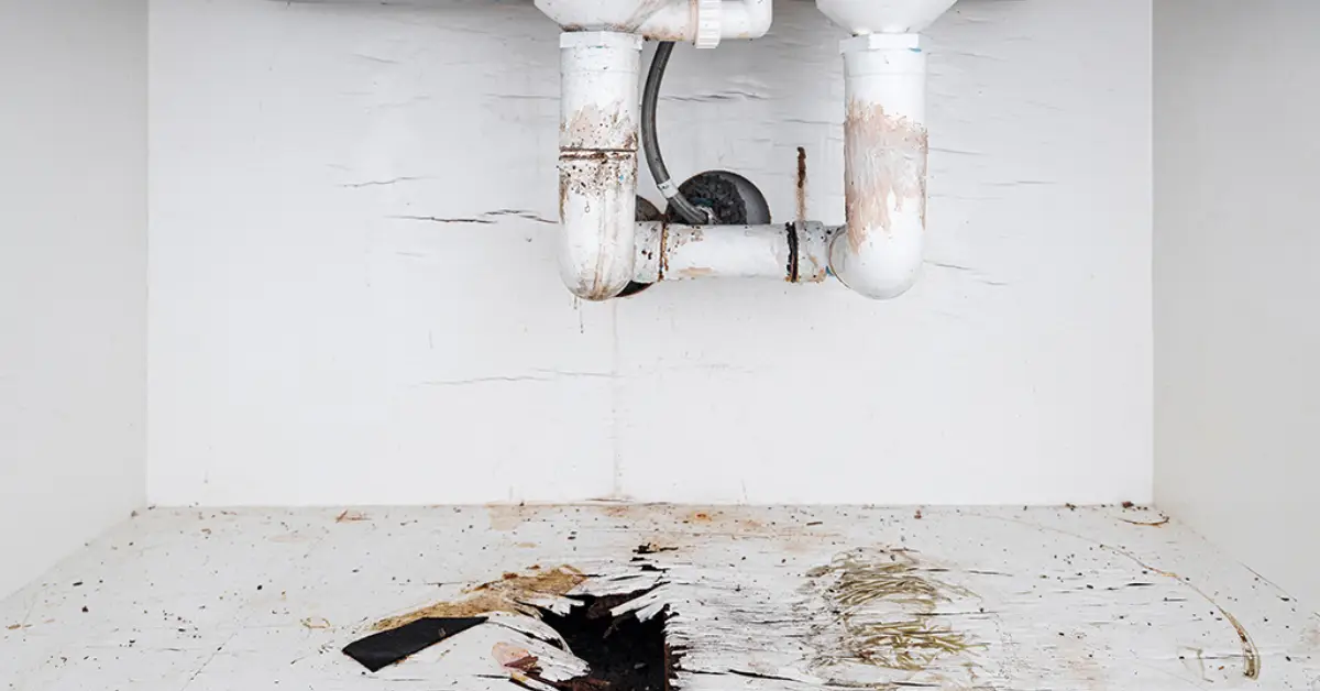 Common Causes Your Bathroom Smells Like Sewage