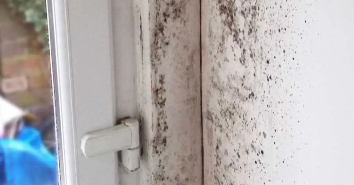 Ideal Humidity Level for Home