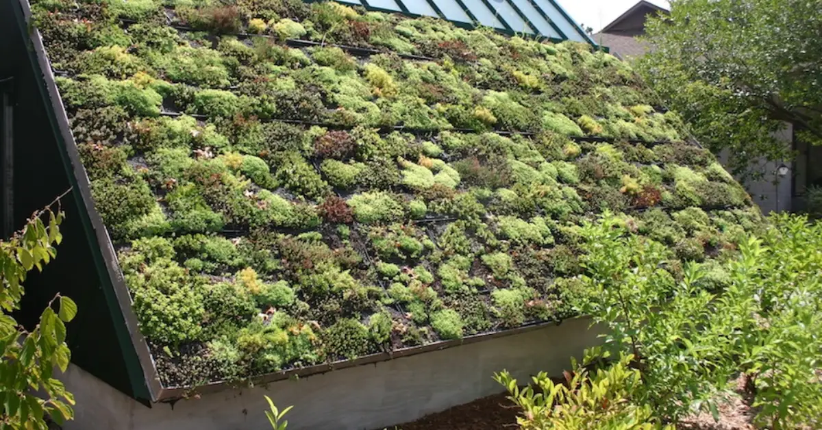 green roof benefits