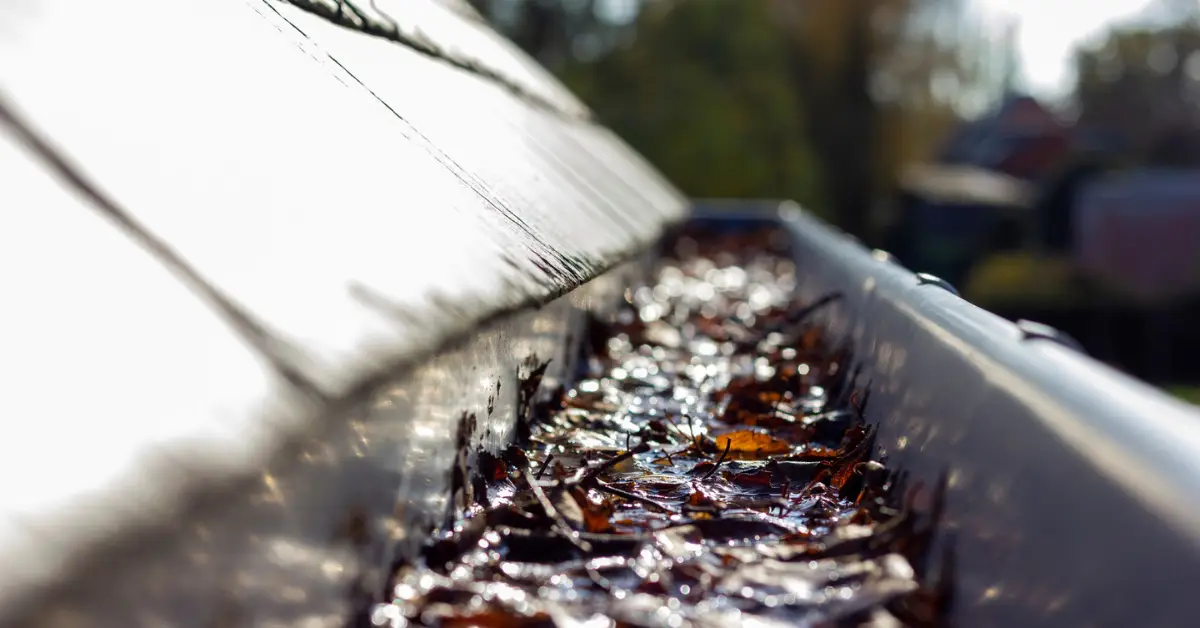 signs your gutters need cleaning