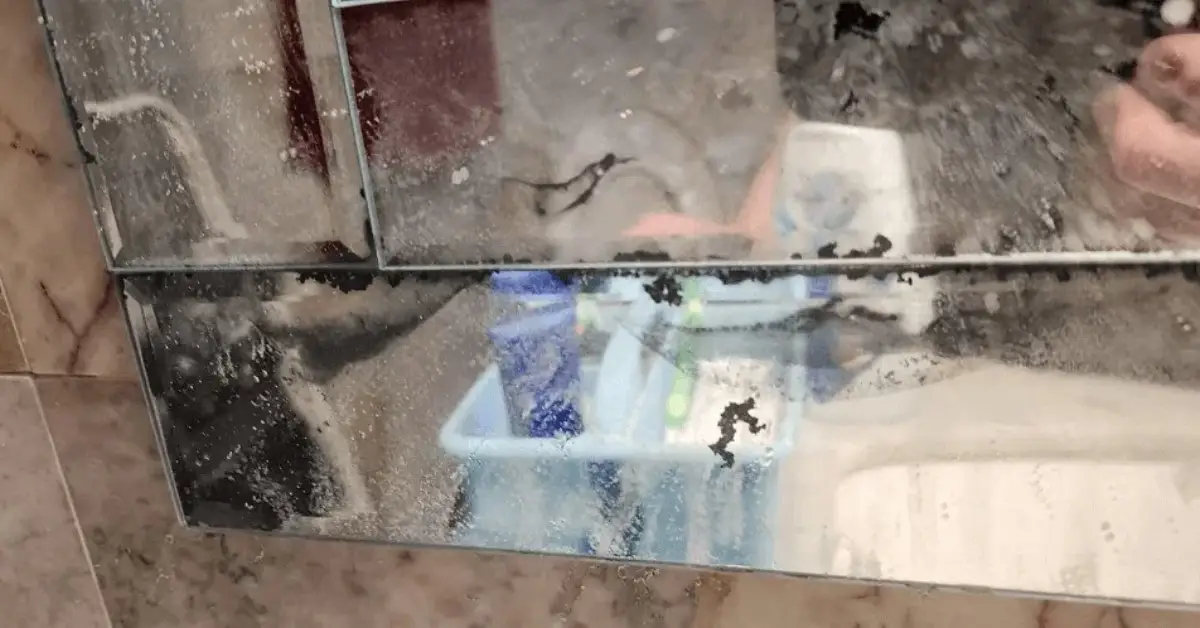 spots in your bathroom you’re probably missing when cleaning